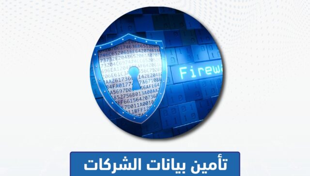 تأمين بيانات الشركات