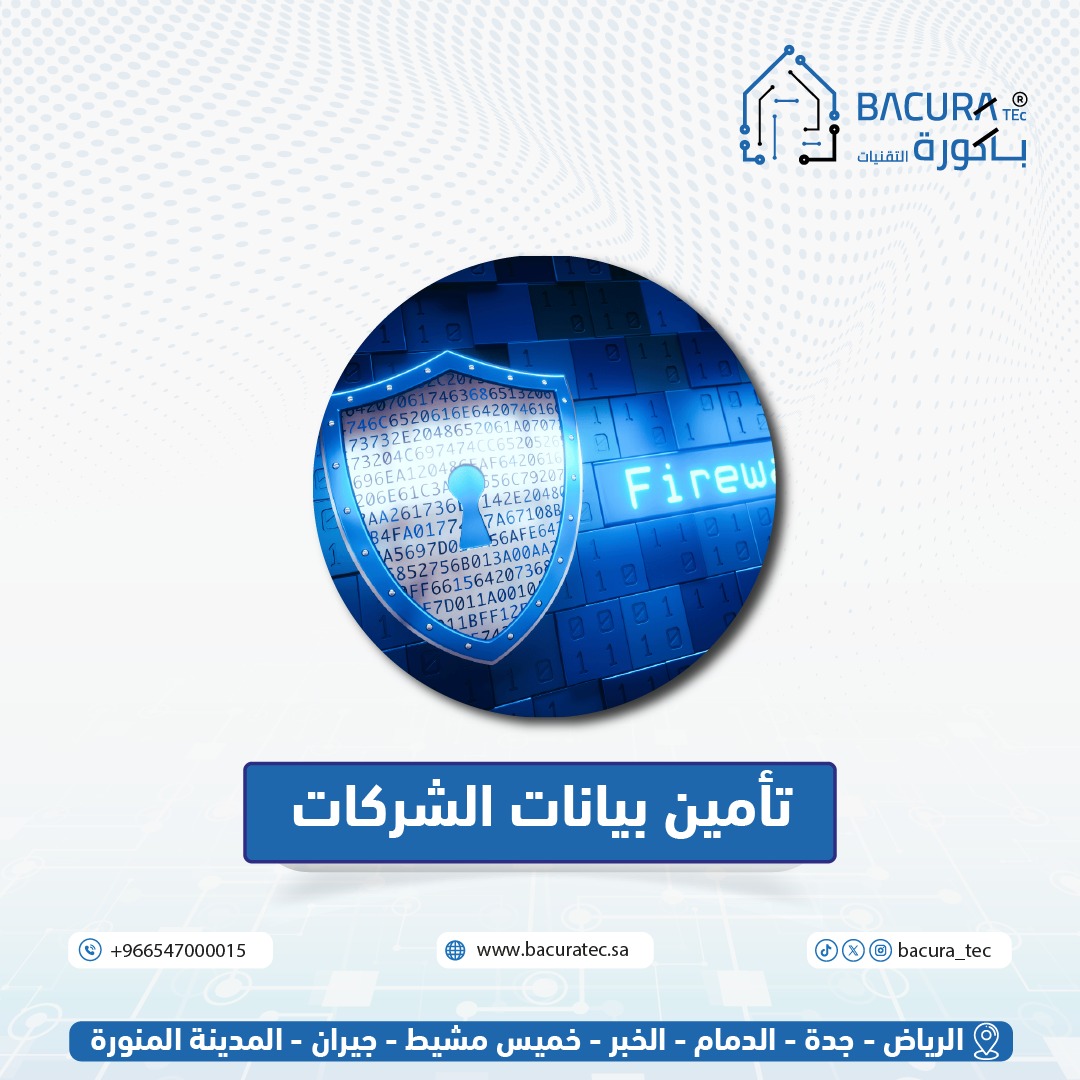 تأمين بيانات الشركات