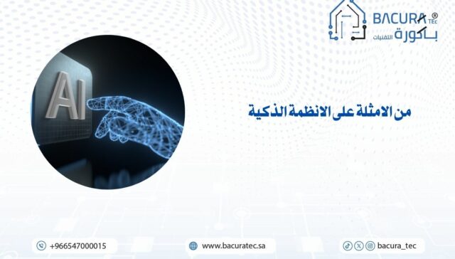 من الأمثلة على الأنظمة الذكية