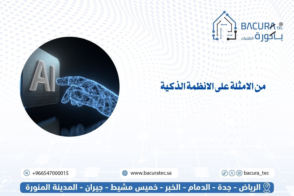 من الأمثلة على الأنظمة الذكية